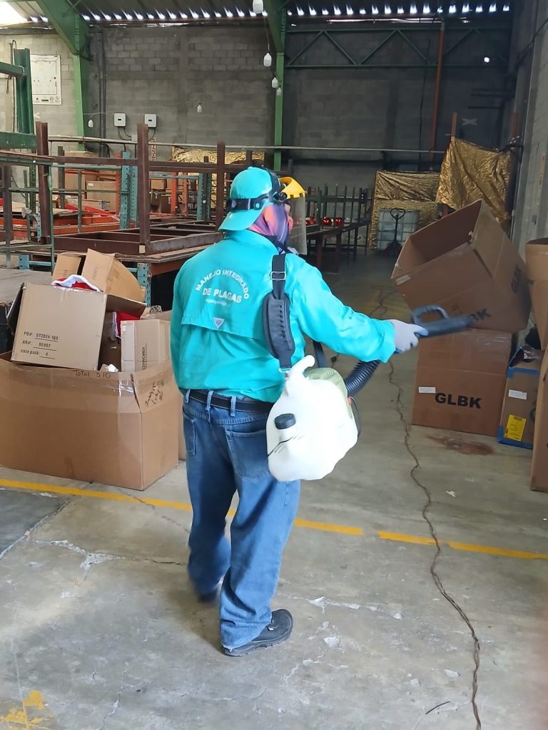 WhatsApp Image 2025-04-15 at 1.38.41 PM