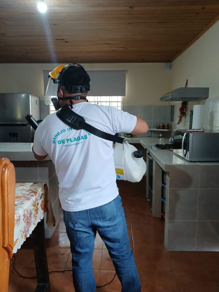 WhatsApp Image 2025-04-15 at 1.38.42 PM (2)