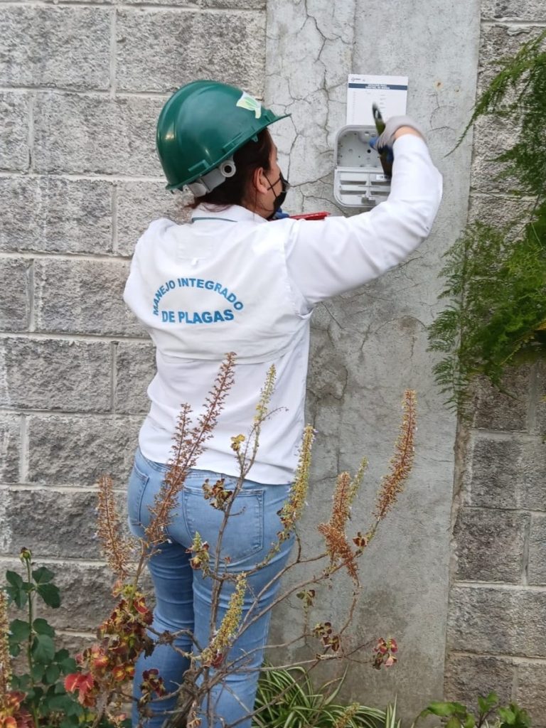 WhatsApp-Image-2025-05-02-at-9.14.55-AM-3